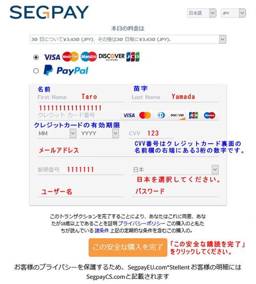 Segpayのクレジット情報入力ページ