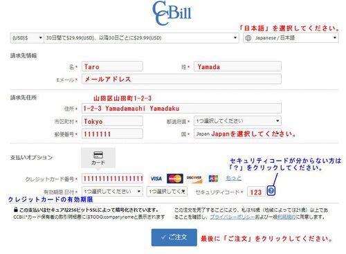 CCBillのクレジット情報入力ページ