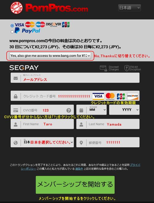 Segpayのクレジット情報入力ページ