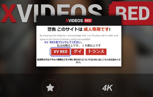 X VIDEOS REDの年齢認証ページのキャプチャー画像
