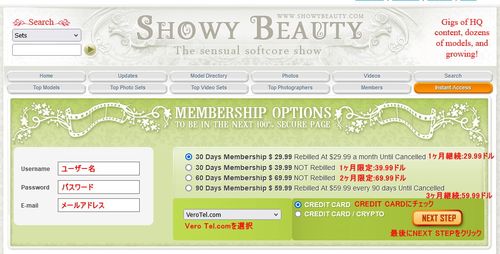 Showy Beautyの会員プラン選択ページ