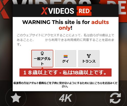 X VIDEOS REDの年齢認証ページのキャプチャー画像