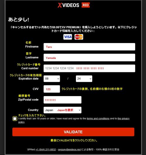 X Videos Redのクレジット情報入力ページ