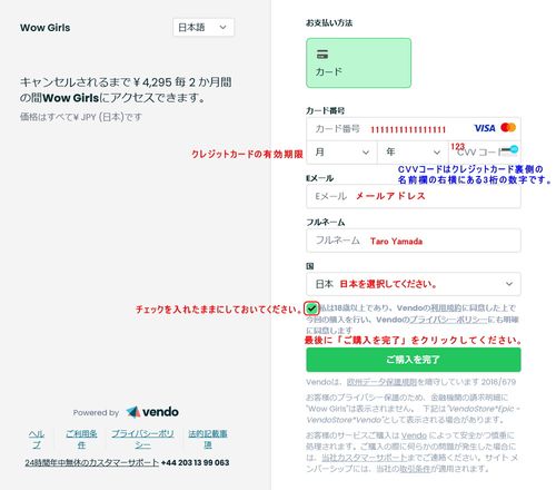 Vendoのクレジット入力ページ